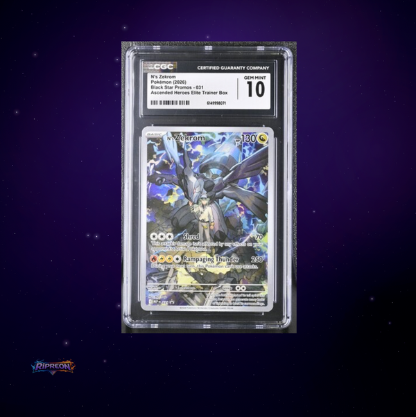 N's Zekrom #031 Promo CGC 10